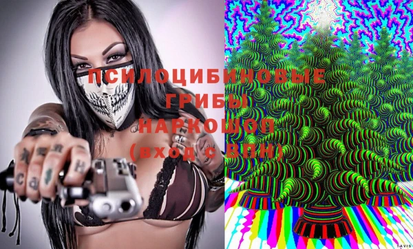МДПВ Зеленокумск