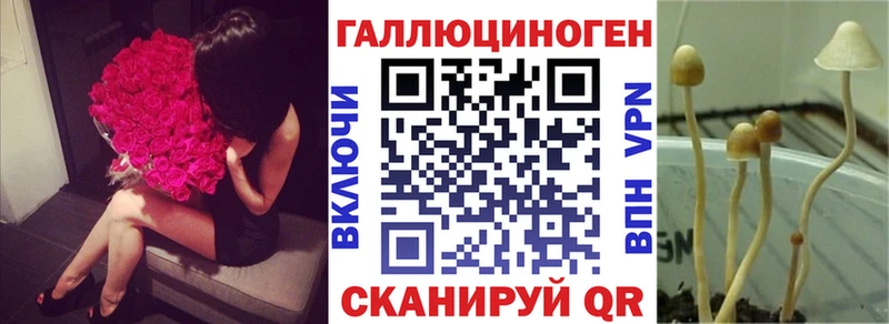 Купить где  Егорьевск  Галлюциногенные грибы мицелий 