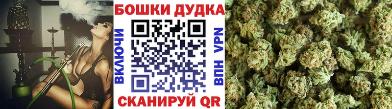 Шишки марихуана план  Купить где  Егорьевск 